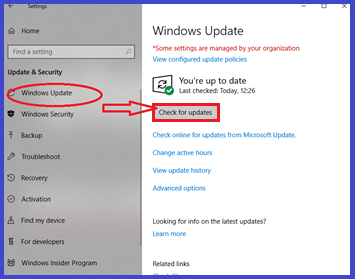 Update Photo Viewer Tool
