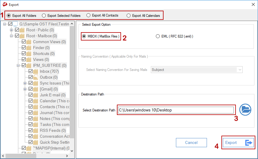 choose option and export